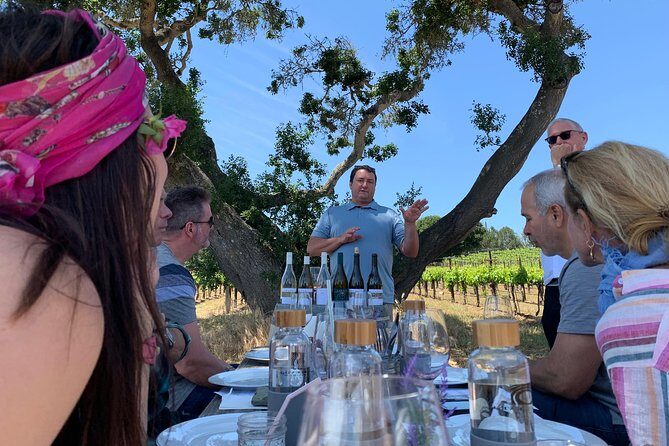 Small-Group Wine Tasting Tour of Santa Barbara Wine Country - Practical Details: What You Should Know