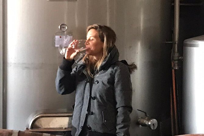 Small-Group Wine Tour & Silves Exploration (from Albufeira) - Who Is This Tour Best For?