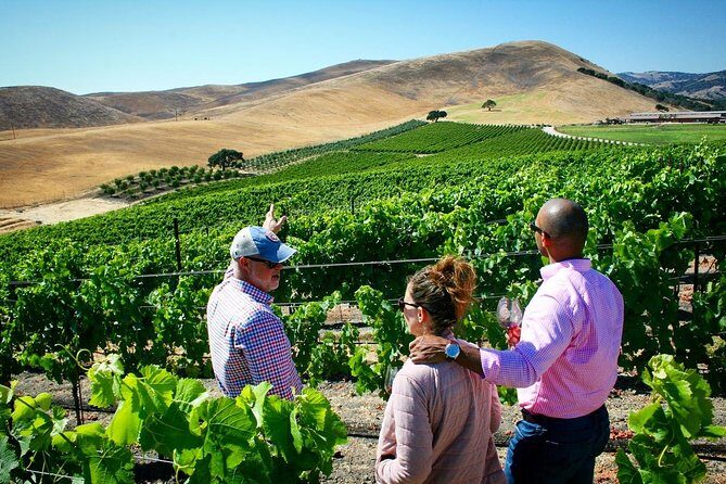 Small-Group Wine Tour to Private Locations in Santa Barbara - The Itinerary in Detail