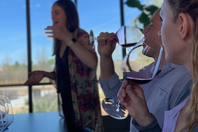 Small-Group Wine Tour to Private Locations in Santa Barbara - The Value of the Experience