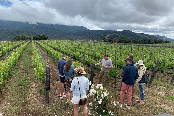 Small-Group Wine Tour to Private Locations in Santa Barbara - Who Should Consider This Tour?