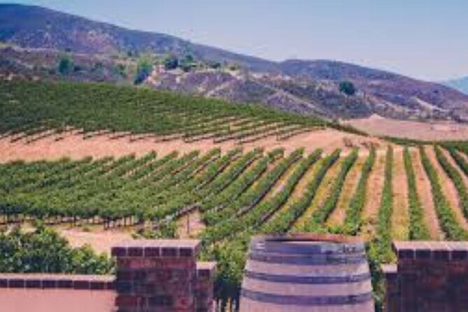 Small Group Wine Tour to Temecula from Los Angeles - What the Tour Includes and What You Should Budget For