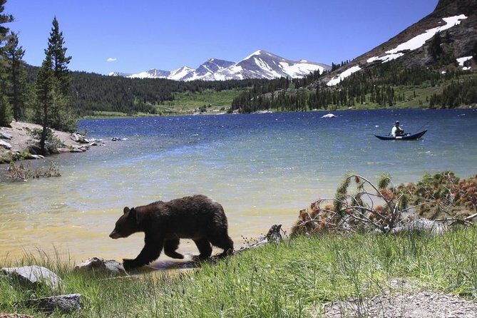 Small Group Yosemite and Giant Sequoias Day Trip from San Francisco - Visiting the Giant Sequoias at Tuolumne Grove