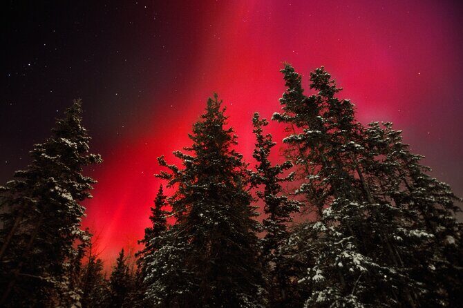 Small Group Yukon Aurora Viewing - Small Group Yukon Aurora Viewing: A Guide to Chasing the Lights