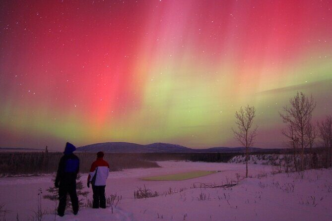 Small Group Yukon Aurora Viewing - Seeing the Aurora: An Unpredictable Wonder