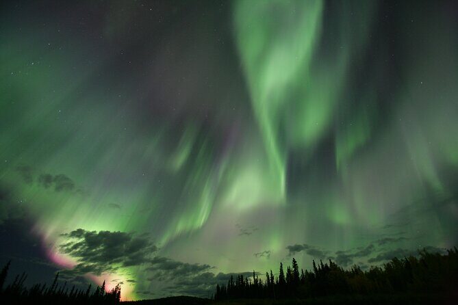 Small Group Yukon Aurora Viewing - Authentic and Thoughtful Guides
