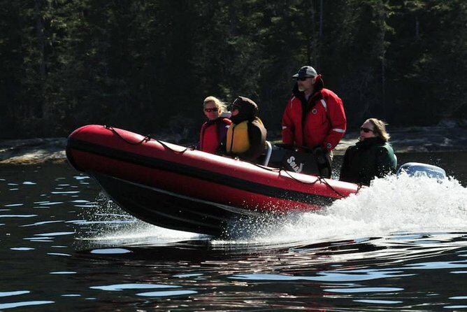 Small-Group Zodiac Wilderness Adventure from Ketchikan - Key Points