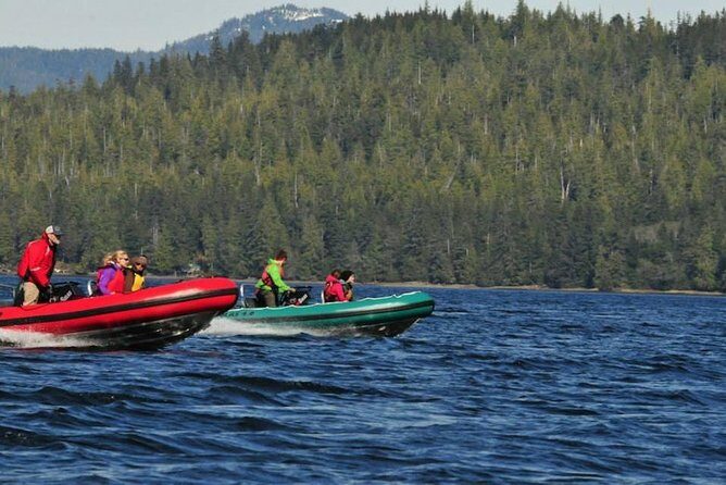 Small-Group Zodiac Wilderness Adventure from Ketchikan - Logistics and Practicalities