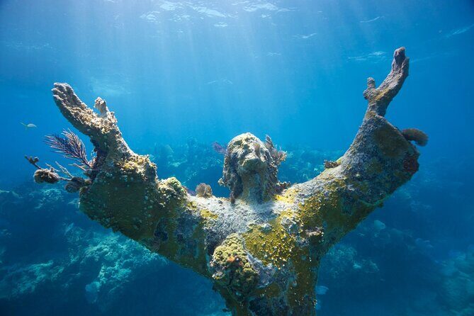 Small - Guided Shallow 2 Tank Dive Experience in Key Largo ALL GEAR INCLUDED - What to Expect on the Tour