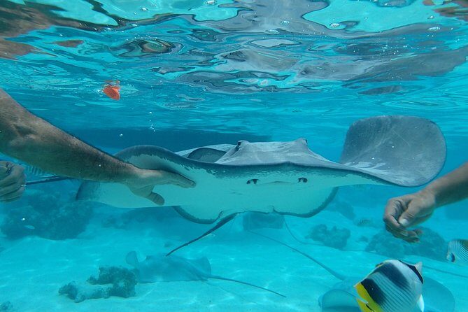 Small Magic Combo 3h30 of Quad + 1H00 of Jetski - Practical Details and Considerations