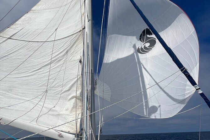 Small Private Catamaran Sunset Tours in San Diego - The Practicalities