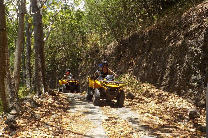 Small Quad Tour 2h30 Quad excursion in Moorea (single or two-seater) - Who Will Enjoy This Tour?