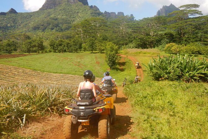 Small Quad Tour 2h30 Quad excursion in Moorea (single or two-seater) - FAQ