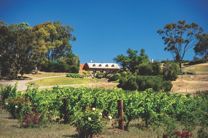 Small Tour Barossa Valley Voyager Tour from Adelaide - Who Should Consider This Tour
