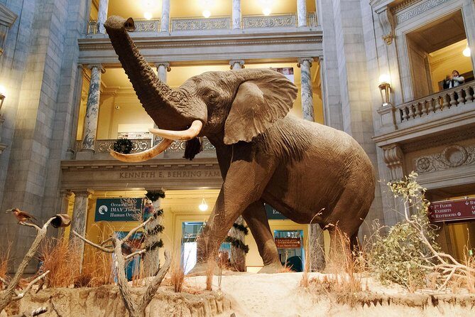 Smithsonian Museum of Natural History - Exclusive Guided Tour - Analyzing the Value: Is It Worth the Cost?
