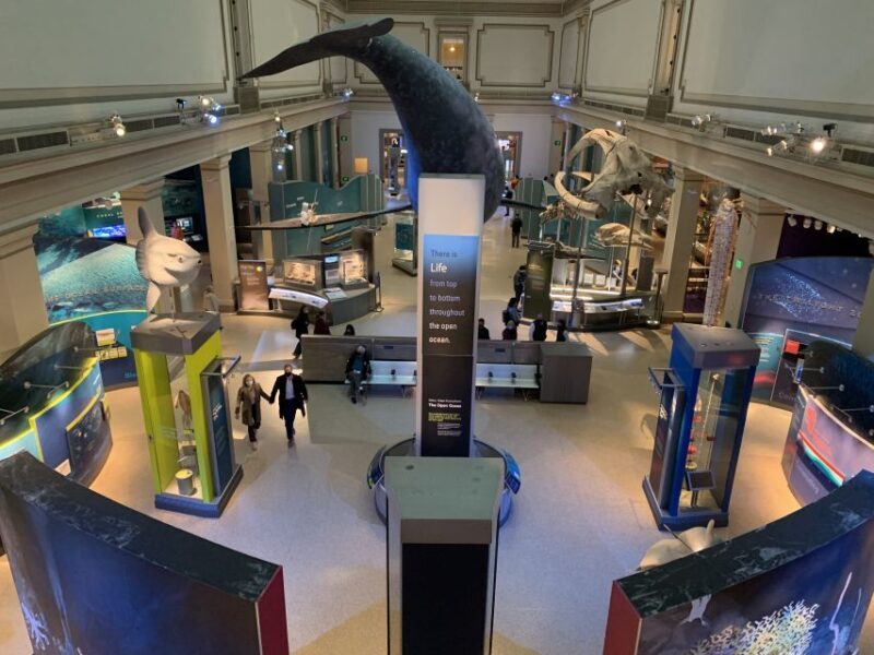 Smithsonian National Museum of Natural History Guided Tour - Key Points