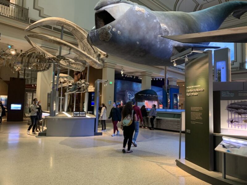 Smithsonian National Museum of Natural History Guided Tour - FAQ