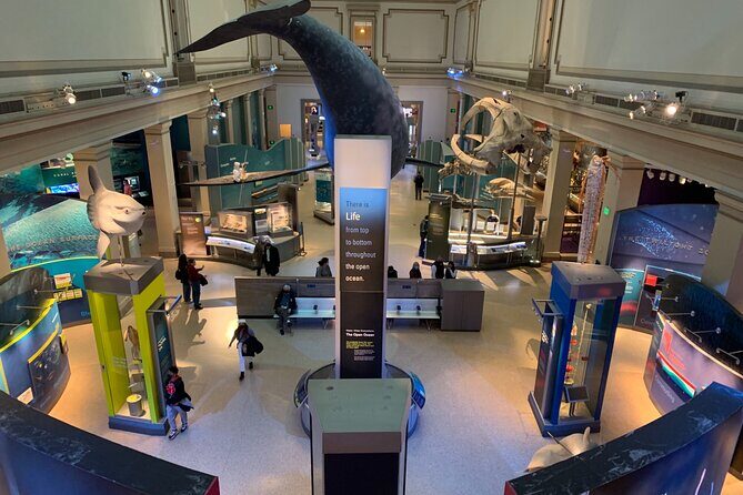 Smithsonian National Museum of Natural History with Guided Tour - What to Expect from the Tour