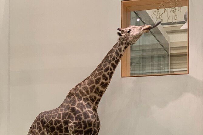 Smithsonian National Museum of Natural History with Guided Tour - Practical Details