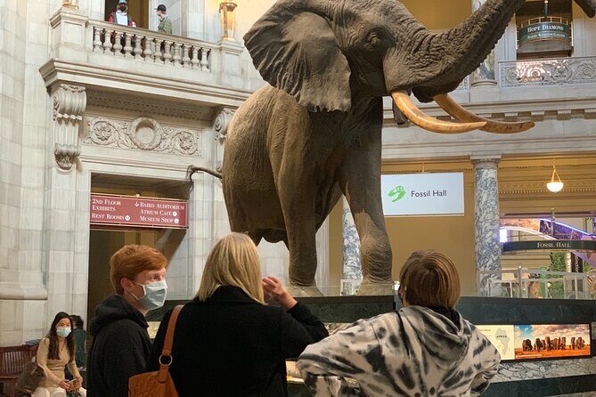 Smithsonian National Museum of Natural History with Guided Tour - Who Should Consider This Tour?