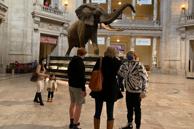Smithsonian National Museum of Natural History with Guided Tour - FAQs About the Smithsonian Guided Tour