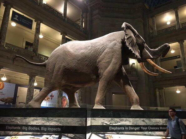 Smithsonian Natural History + American History - Exclusive Tour - Key Points