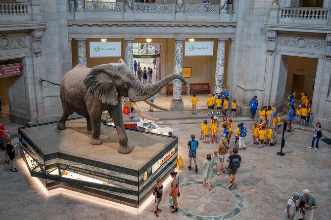 Smithsonian Natural History Museum Semi-Private Guided Tour - Exploring the Smithsonian Natural History Museum with a Semi-Private Guide