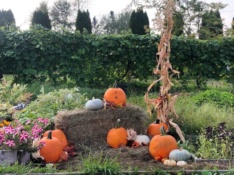 Smokies, Fire-Roasted S'mores and Fall Fun at Kelowna Winery - Who Will Enjoy This?