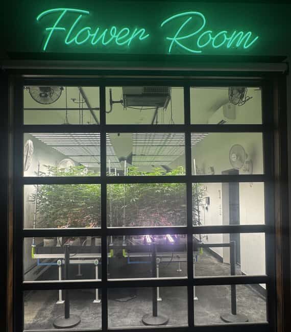 Smoky Mountain Cannabis THC Dispensary Tour & Jeep Adventure - An Honest Look at the Smoky Mountain Cannabis THC Dispensary & Jeep Adventure