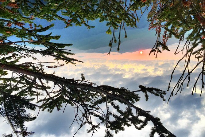 Smoky Mountain Guided Scenic High Van Tour - FAQ