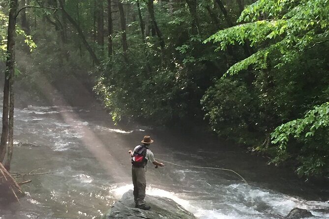 Smoky Mountains National Park Half Day Fly Fishing - Introduction
