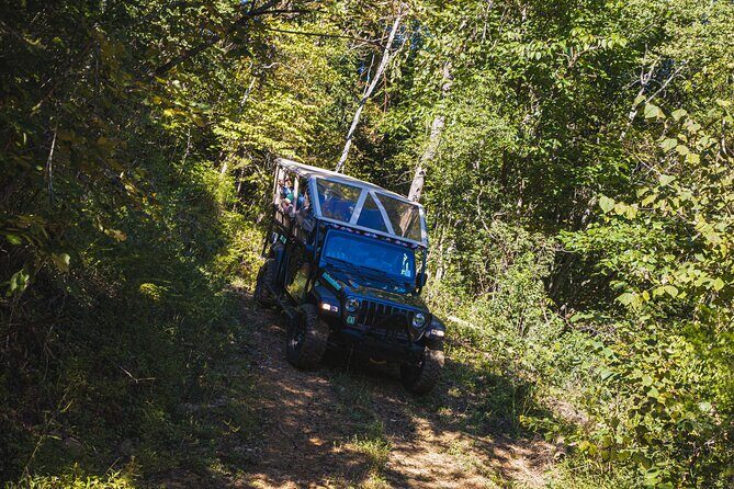 Smoky Mountains Newfound Gap Jeep Tour - Practical Information