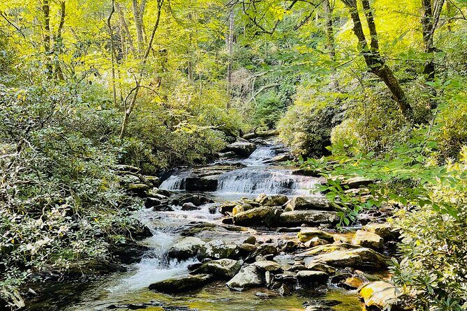 Smoky Mountains Newfound Gap Jeep Tour - Frequently Asked Questions