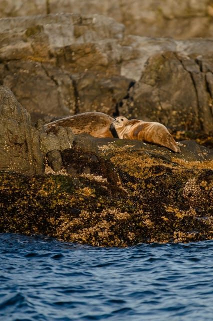 Snaefellsnes Peninsula Tour from Reykjavik - The Practicalities: What Travelers Should Know