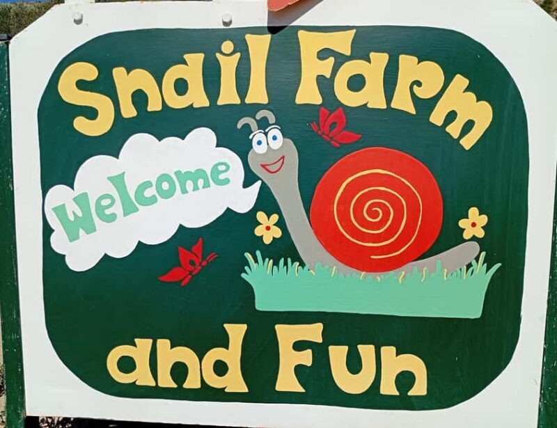 Snail and olive farm tour with table olives & homemade sweet - Key Points