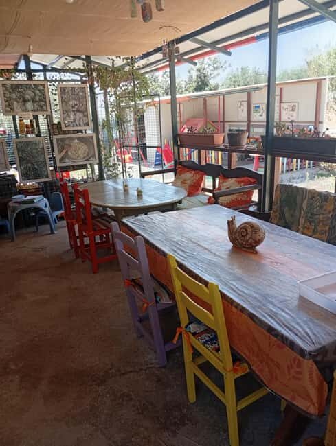 Snail and olive farm tour with table olives & homemade sweet - Who Should Consider This Tour?