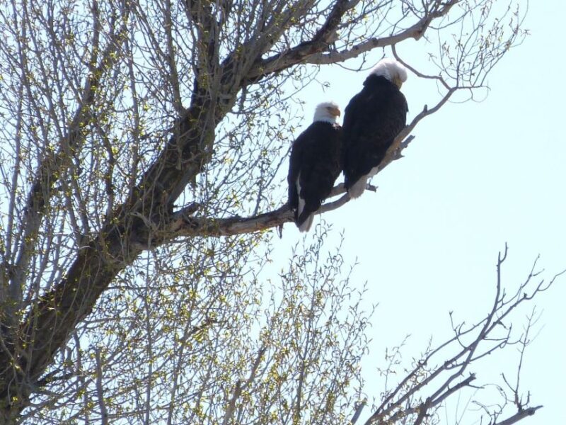 Snake River Full-Day Group Fishing Trip - What You Can Expect from the Snake River Full-Day Trip