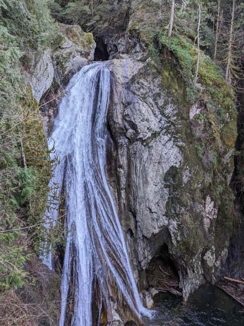 Snoqualmie, Twin Falls & Ancient Forest (Transport Included) - The Value of the Price