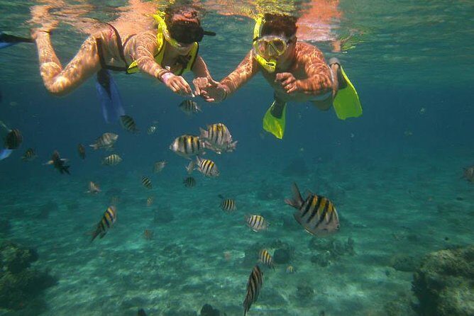Snorkel Adventure at Cozumel! Transportation from Cancun & Playa Del Carmen - What to Expect on the Snorkel Adventure at Cozumel