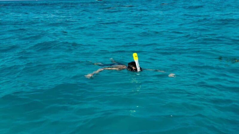 Snorkel Adventure for All Ages in Cancun 2.5 hrs - A Closer Look at the Cancun Snorkel Adventure
