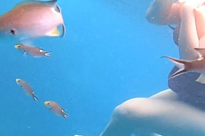 Snorkel Adventure in Marietas Islands or Punta Mita Reefs - Exploring Punta Mita’s Secluded Reefs