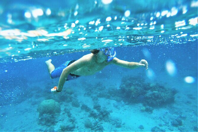 Snorkel Adventure through the Sea of Cortez - Who Would Love This Tour?