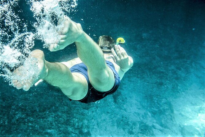 Snorkel Adventure through the Sea of Cortez - Final Thoughts