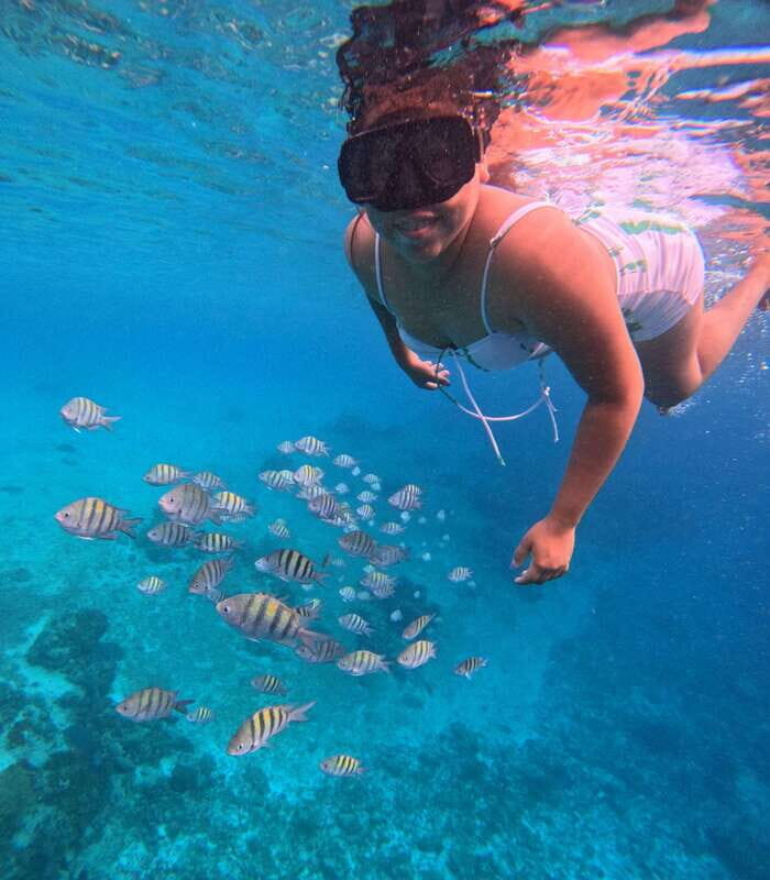 Snorkel along the coast with Chivis Del Mar. - What to Expect from the Tour