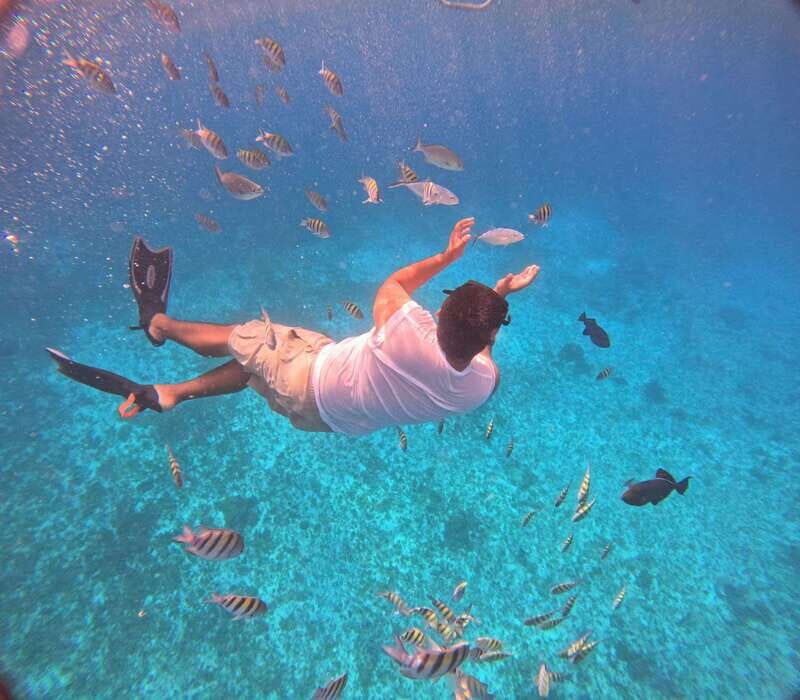 Snorkel along the coast with Chivis Del Mar. - The Itinerary in Detail