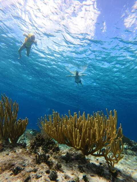 Snorkel along the coast with Chivis Del Mar. - Environmental and Safety Considerations