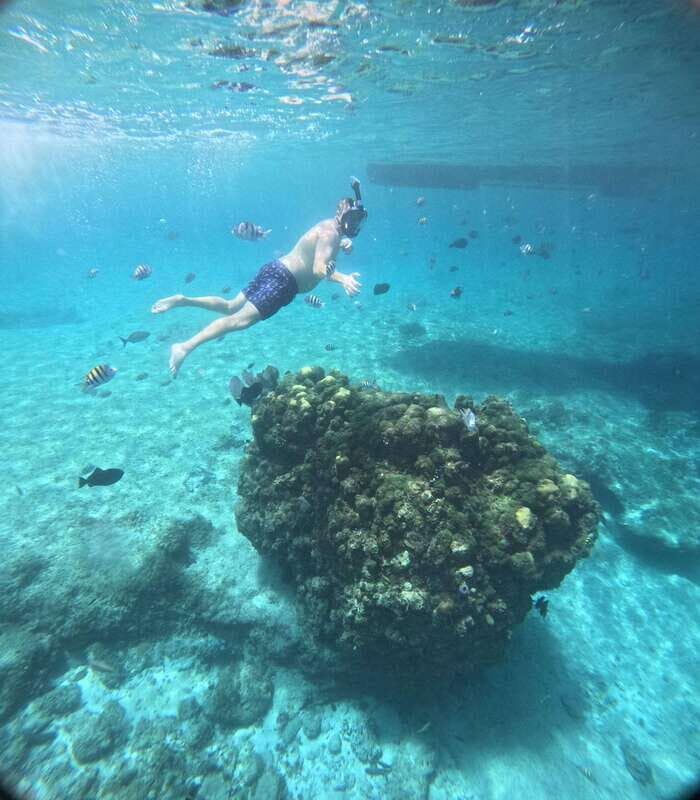 Snorkel along the coast with Chivis Del Mar. - Final Thoughts: Who Should Consider This Tour?