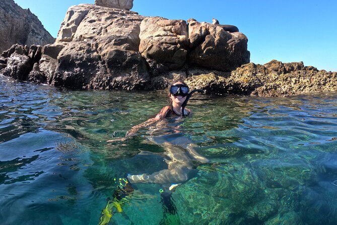 Snorkel and arch tour in los cabos - An In-Depth Look at the Experience