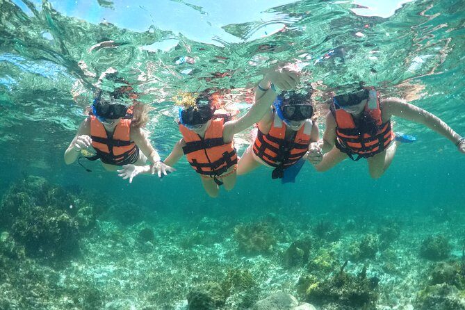 Snorkel and catamaran to Isla Mujeres - Who Should Consider This Tour?