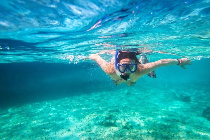 Snorkel and swim in Cozumel el Cielo Reef, Palancar and Colombia - The Beach and Lunch Break